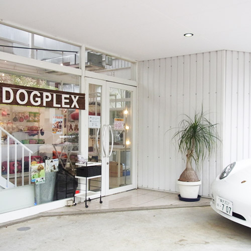 DOGPLEX