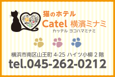 猫のホテル Catel横濱ミナミ