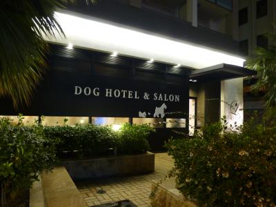 DOG HOTEL&SALON L'eclat